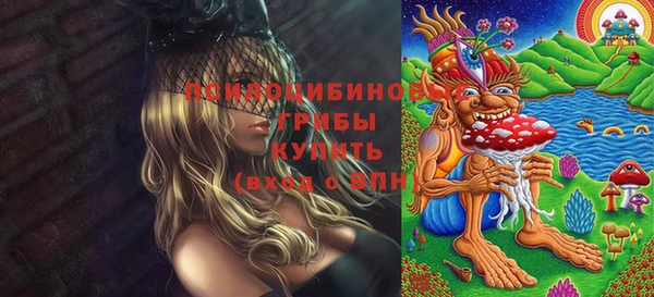 марихуана Белокуриха