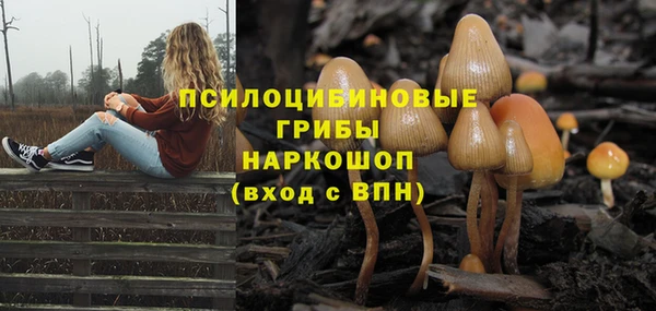 MDMA Богородицк